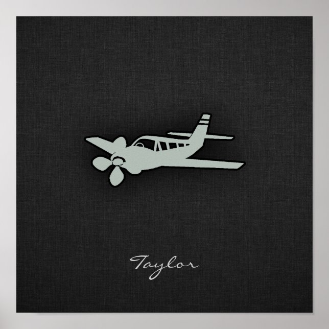 Ash Grått Flygplan Poster (Framsidan)