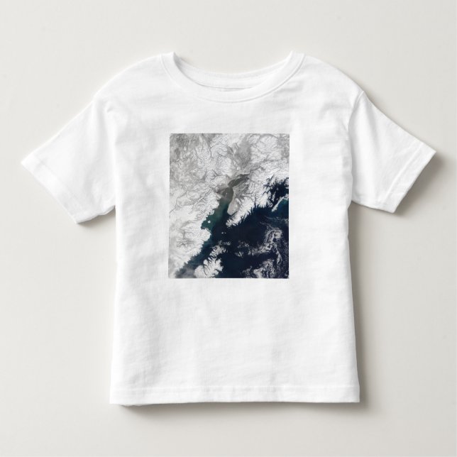 Ash plume från Mount Redtvivt, Alaska Tee Shirt (Framsida)