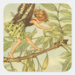 Ash Träd Fairy Walking på Gren Fyrkantigt Klistermärke