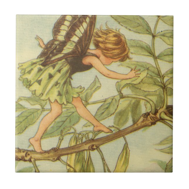 Ash Träd Fairy Walking på Gren Kakelplatta (Framsidan)