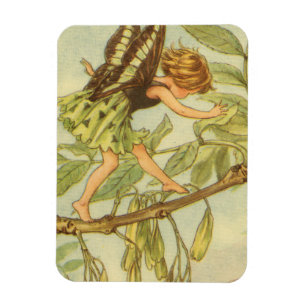 Ash Träd Fairy Walking på Gren Magnet