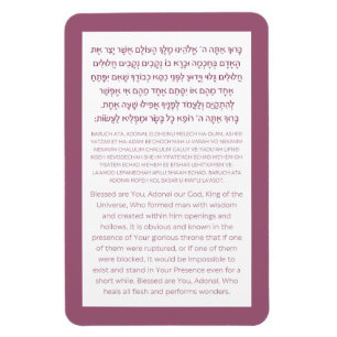 Asher Yatzar Hebrew Bluting Dusty Rosa Poster Magnet