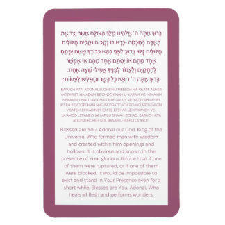Asher Yatzar Hebrew Bluting Dusty Rosa Poster Magnet