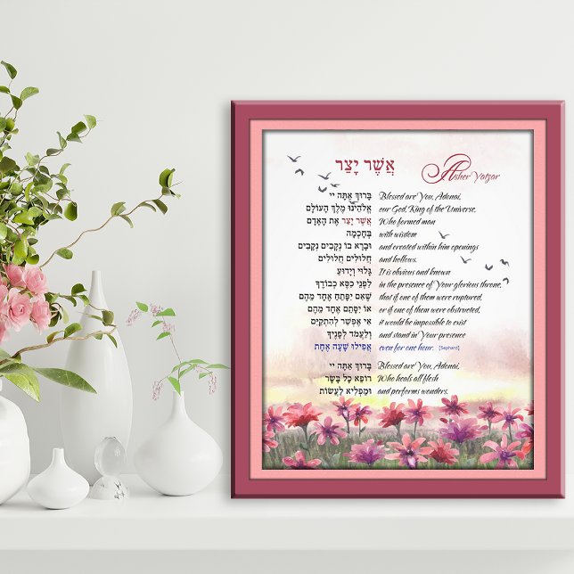 Asher Yatzar Hebrew God Prayer Rosa Red Cosmos Fototryck (Skapare uppladdad)