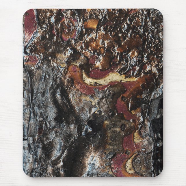 Ashes Musmatta (Framsidan)