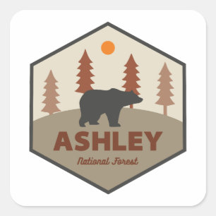 Ashley National Forest Bear Fyrkantigt Klistermärke