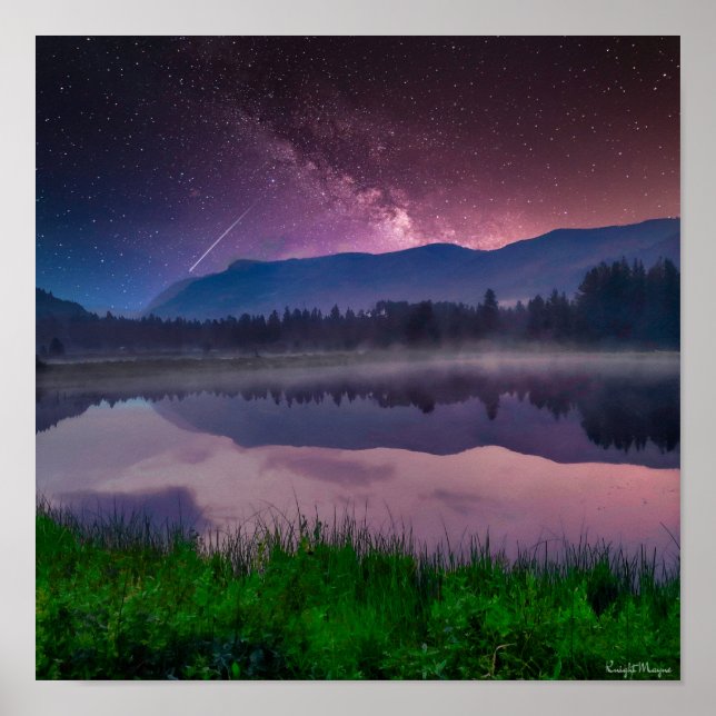 Ashley National Forest Poster (Framsidan)