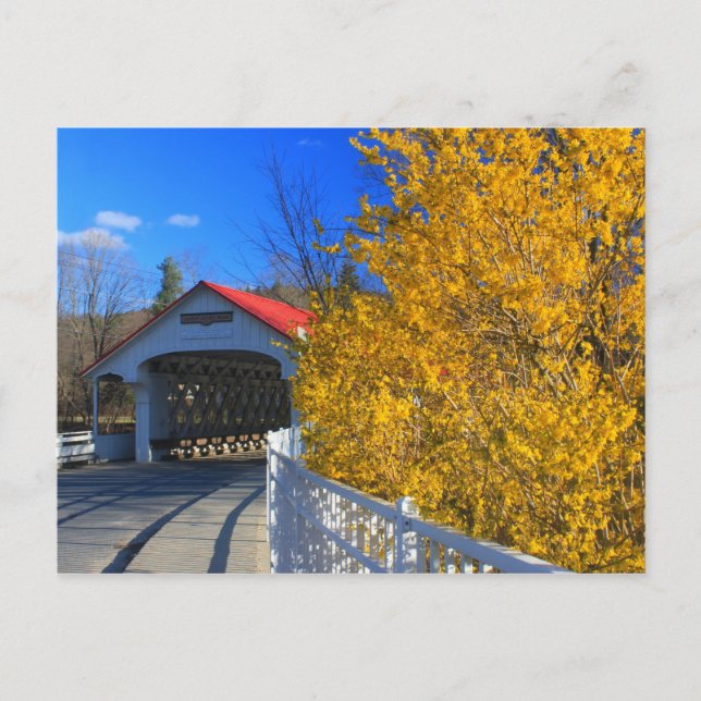 Ashuelot omfattade Bridge Forsythia Vykort (Framsida)