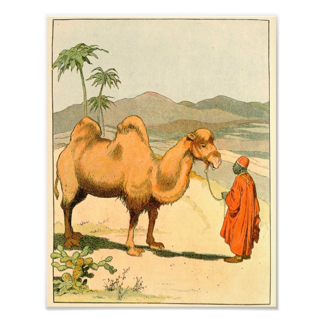 Asia Two Hump Camel Fototryck (Framsidan)