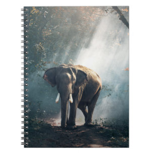Asian Elephant in a Sunlit Forest Clearing Anteckningsbok Med Spiral