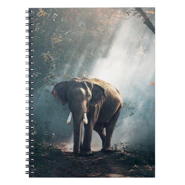 Asian Elephant in a Sunlit Forest Clearing Anteckningsbok Med Spiral (Framsidan)