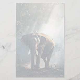 Asian Elephant in a Sunlit Forest Clearing Brevpapper