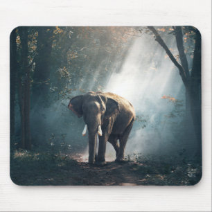 Asian Elephant in a Sunlit Forest Clearing Musmatta