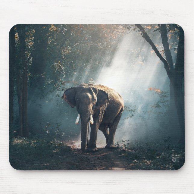 Asian Elephant in a Sunlit Forest Clearing Musmatta (Framsidan)