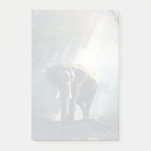 Asian Elephant in a Sunlit Forest Clearing Post-it Block