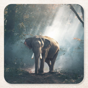 Asian Elephant in a Sunlit Forest Clearing Underlägg Papper Kvadrat