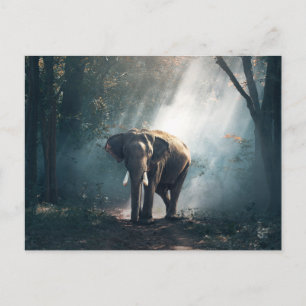 Asian Elephant in a Sunlit Forest Clearing Vykort