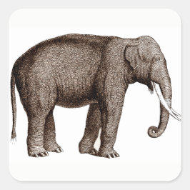 Asian Elephant Stickers Fyrkantigt Klistermärke