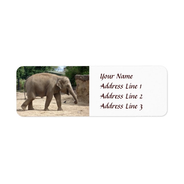 Asian Elephant Walking on Sand Returadress Etikett (Framsidan)