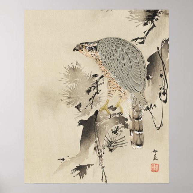 Asian Goshawk - 1890 Poster (Framsidan)