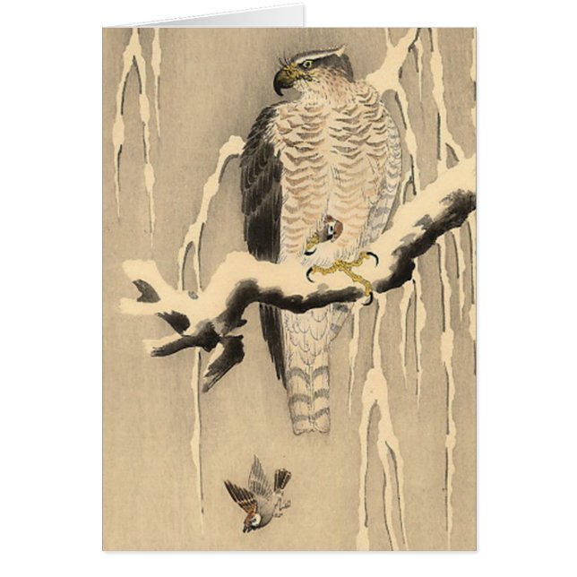 Asian Goshawk Painting Hälsningskort (Framsidan)