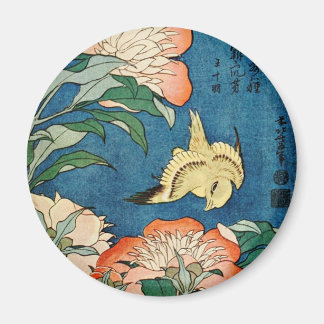 ASIAN PEONIES magnet