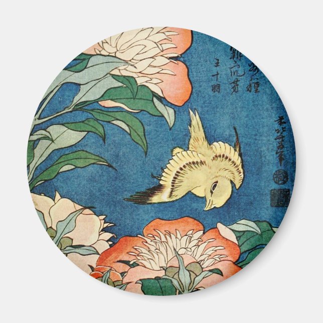 ASIAN PEONIES magnet (Framsidan)