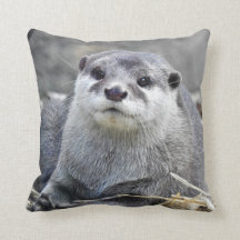 Asiat Liten-Klöst utter