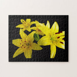 Asiatic Lilies on Black Pussel