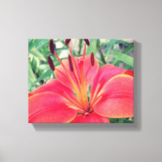 Asiatic Lily Canvastryck