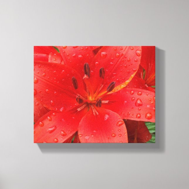 Asiatic Lily Canvastryck (Framsida)