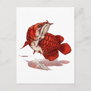 Asiatisk arowana vykort