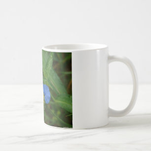Asiatisk dagblomma Blå blomskläder och presenter Kaffemugg