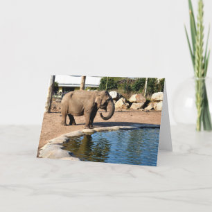 Asiatisk elefant helgkort