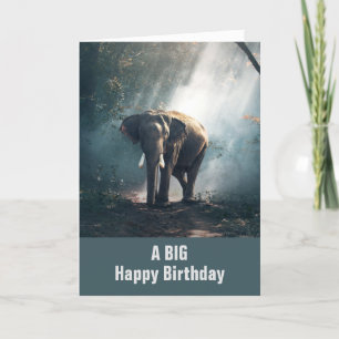 Asiatisk elefant i en solupplyst skogseg kort