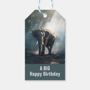 Asiatisk elefant i en solupplyst skogseg presentetikett