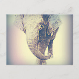 Asiatisk elefant i Vintage Färger Vykort
