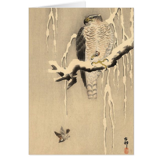 Asiatisk Goshawk Hälsningskort (Framsidan)