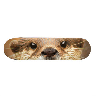 Asiatisk liten klöst utter skateboard bräda 19,5 cm