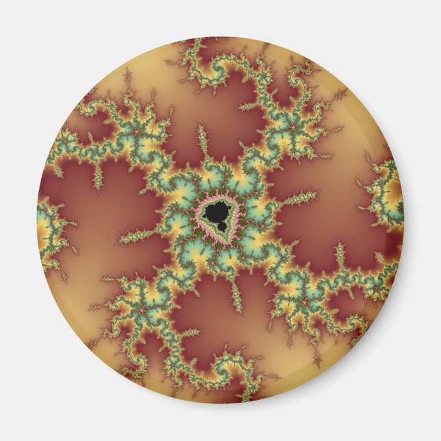 Asiatisk spindel - Fractal Magnet (Framsidan)