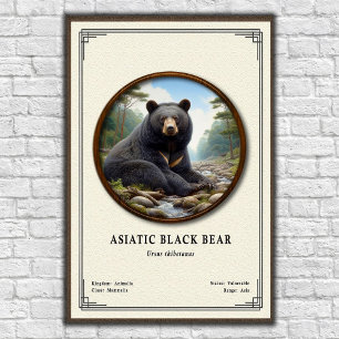 Asiatisk Svartbjörn Zoologisk Serie Poster