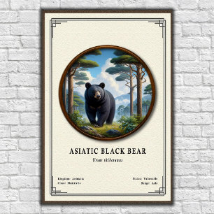 Asiatisk Svartbjörn Zoologisk Serie Poster