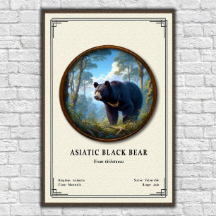 Asiatisk svartbjörn zoologisk serie poster