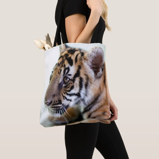 Asiatisk tiger tygkasse (Närbild)