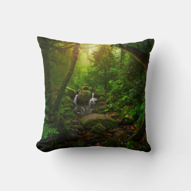 Asiatisk tropisk regnskog,jord,amazon,asien kudde (Framsida)