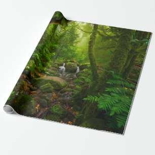 Asiatisk tropisk regnskog,skog,miljö presentpapper
