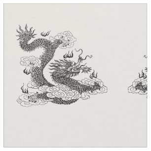 Asiatiska draken tyg