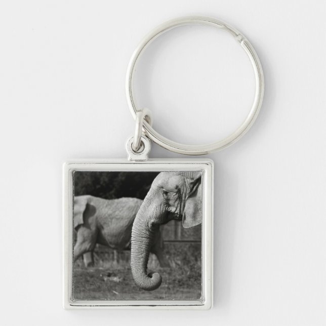 Asiatiska elefanter Keychain Fyrkantig Silverfärgad Nyckelring (Framsidan)