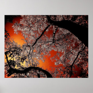 Asiatiska himlen poster