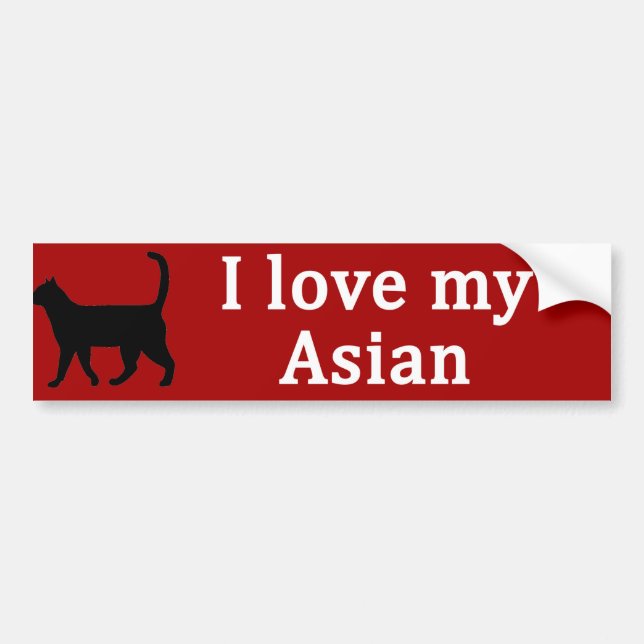 Asiatiska Kärlek Bildekal (Framsidan)